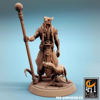 Kriv - Dragonborn Lord of the Print Tabletop Miniature